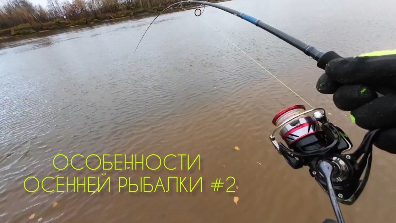 ГДЕ ЛОВИТЬ ЩУКУ ОСЕНЬЮ #рыбалка #щука #спининг #fishing #pike #pikefishing