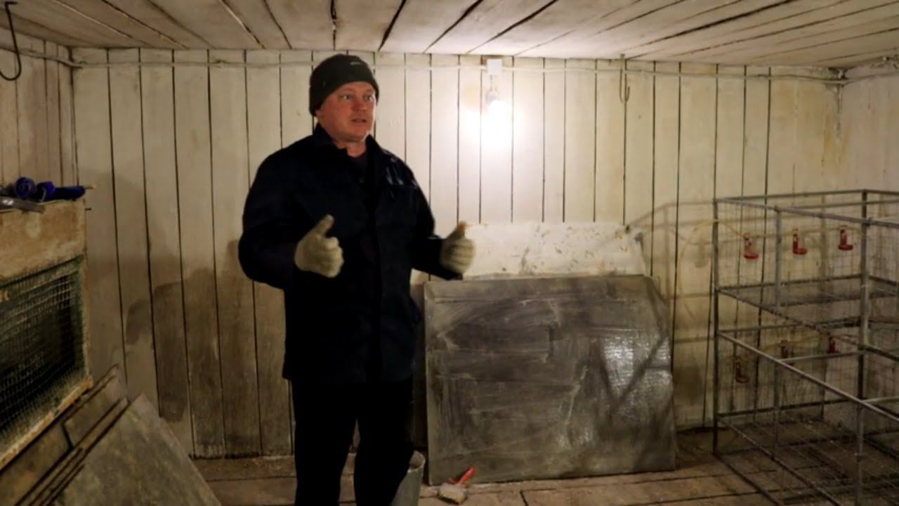 Как подготовить птичник к приему цыплят Побелка известью с хлором смотреть онлайн