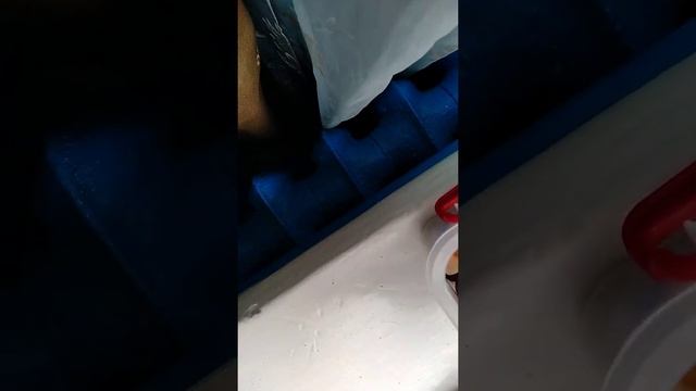 МЕДВЕЖИЙ орех.Крупноплодная форма.Вес орехов. смотреть онлайн