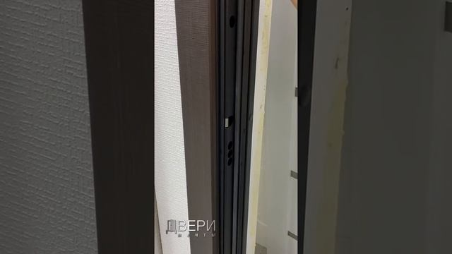 Обзор дверь Гранд. Фабрика Стальная линия. смотреть онлайн