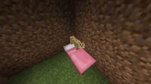 кошка ПРОСЫПАЕТСЯ под песню СОЛНЫШКО МОЁ ВСТАВАЙ