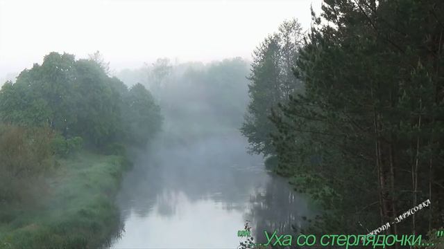 Уха со стерлядочки смотреть онлайн