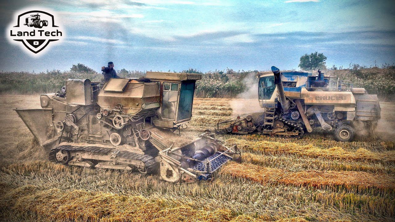 Комбайн ЕНИСЕЙ-954 на полугусеницах и ЕНИСЕЙ-1200Р - уборка риса! смотреть онлайн