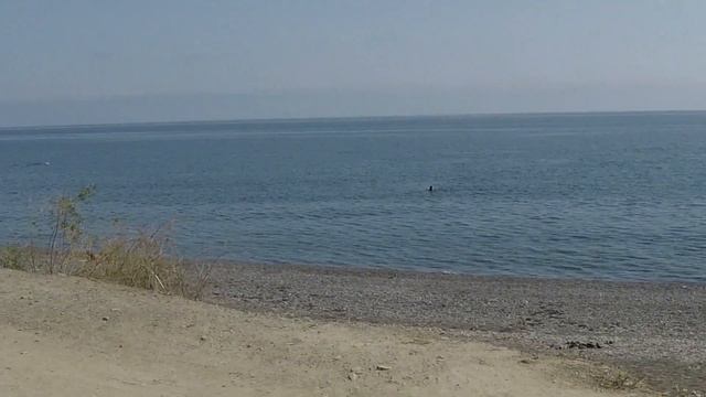 Обратная дорога с Крыма. Памятник группе Кино. Новороссийск. Заключительная серия смотреть онлайн