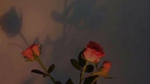 Tom Odell - Can’t pretend (Lyrics)