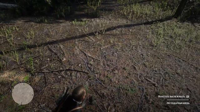 Red Dead Redemption 2✦ЛЕГЕНДАРНЫЙ ОЛЕНЬ✦9✦ смотреть онлайн
