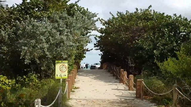 Дорога из аэропорта Джэксонвилл (Jacksonville) в Майами Бич смотреть онлайн