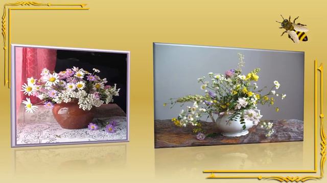 полевые цветы смотреть онлайн