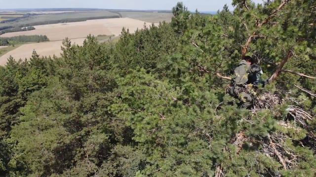 Один день из жизни орнитолога смотреть онлайн