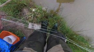 Пруд на участке. Как и чем мы кормим рыбу и раков в своём пруду на даче. Корм и кормушки для рыбы.