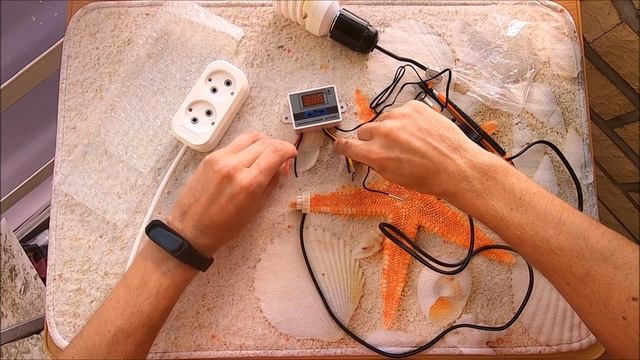 Терморегулятор Термостат Универсальный  Антикризисный Вариант из Китая  Распаковка Отзыв Обзор