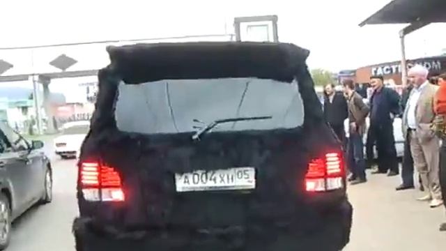 Дагестанская тачила из меха смотреть онлайн