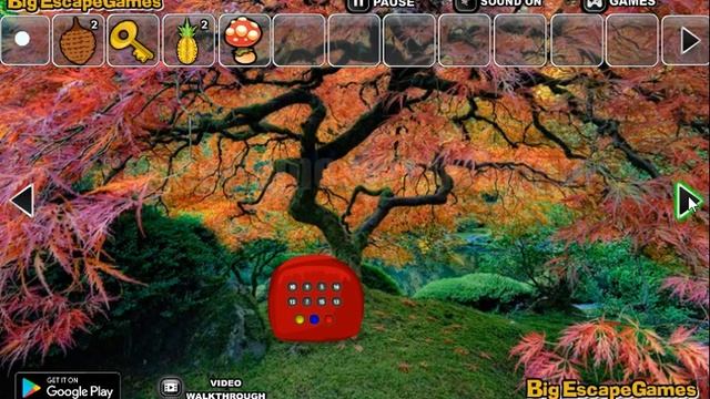 Big Autumn Fall Forest Escape Walkthrough [BigEscapeGames] смотреть онлайн
