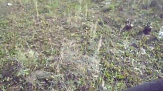 Тест примуса Артель. Обед на природе 1 смотреть онлайн