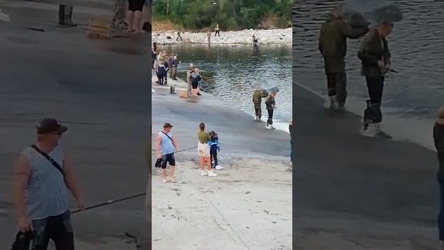 Ловись горбуша. Кандалакша смотреть онлайн