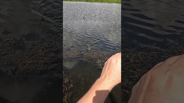 ✅ Ультралайтовая рыбалка 🎣