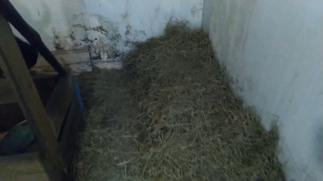 Устройство сарая для коров смотреть онлайн