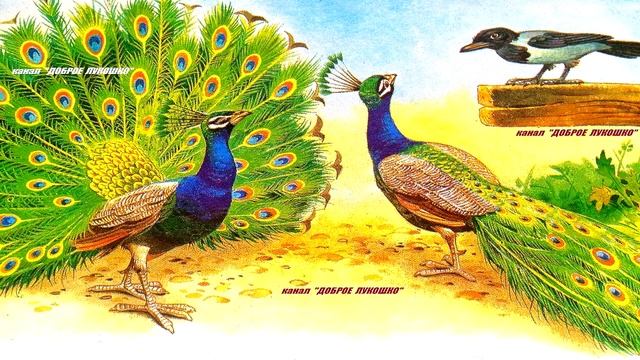 ВОРОНА В ПАВЛИНЬИХ ПЕРЬЯХ — Сказка | Сказки с картинками | Сказки для детей | Книги онлайн смотреть онлайн