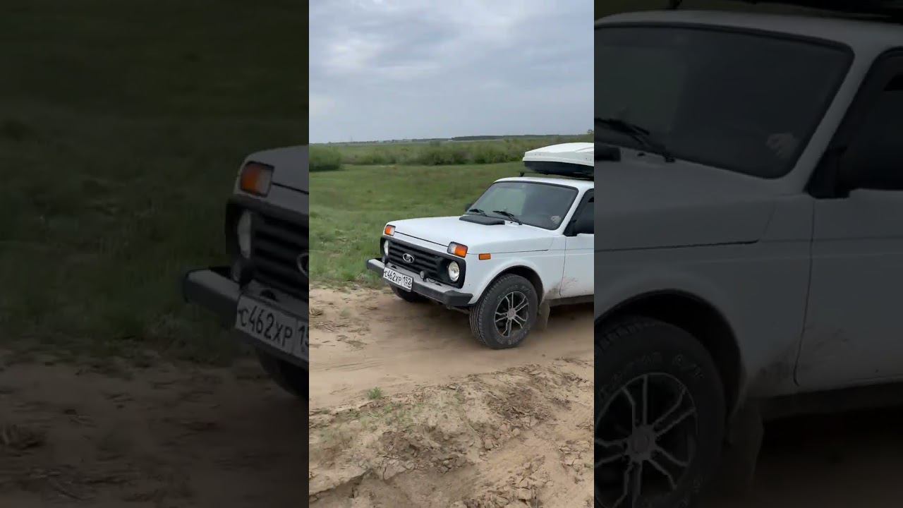 Нива смотреть онлайн