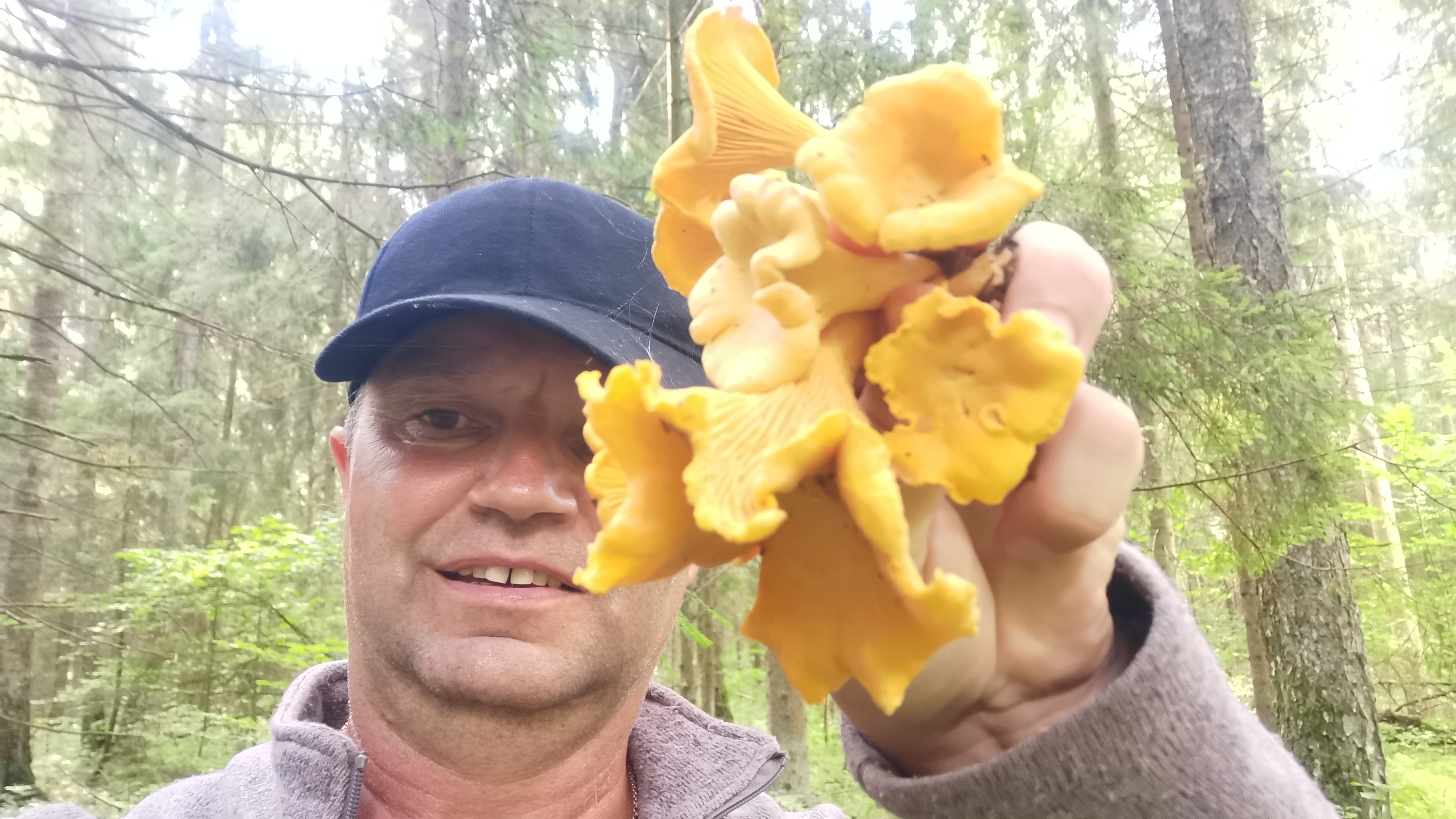 4 августа какие грибы пошли в лесах Подмосковья. Набрал грибов за час. смотреть онлайн