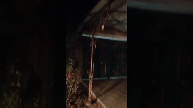 Hazayka dovolin. kazerok ustanovka. usta kelli qazaqdan. смотреть онлайн