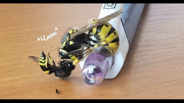 История которая никого не оставит равнодушным... смотреть онлайн
