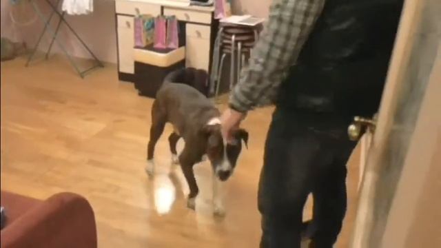 Карлос смотреть онлайн