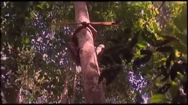 Голи девушки дики смотреть онлайн