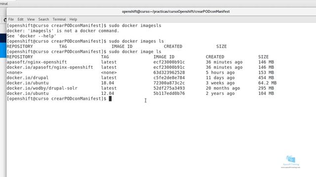 10-Curso de Openshift 4-Crear un pod con manifest смотреть онлайн