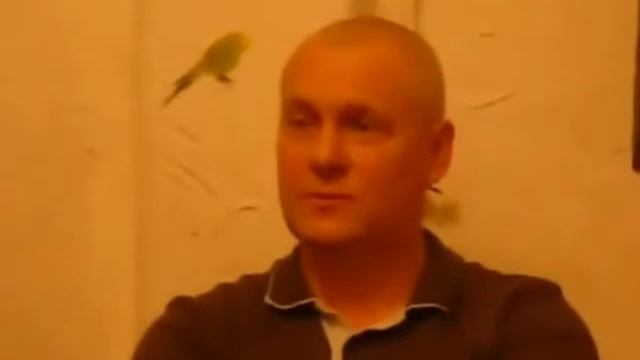 Тренажёр. Отзыв о применении тренажёра для спины смотреть онлайн