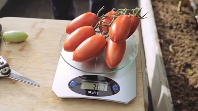 Выбираем томаты, обеззараживаем почву, повышаем плодородие. Дачные сезоны с Мариной Рыкалиной смотреть онлайн