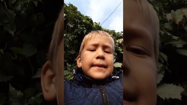 Блог моего среднево брата короткий ?? смотреть онлайн