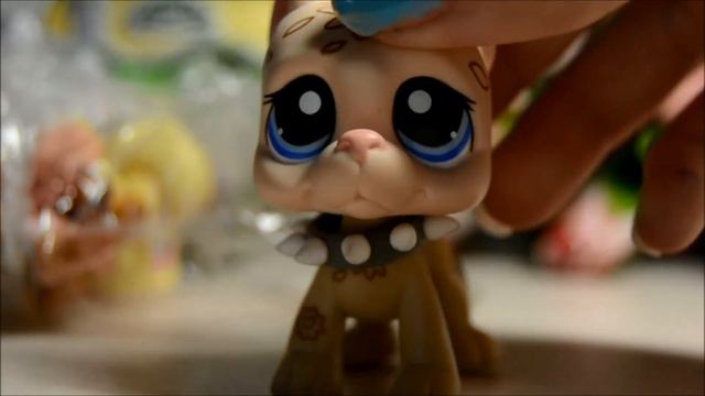 LPS: Распаковка посылки с обмена смотреть онлайн