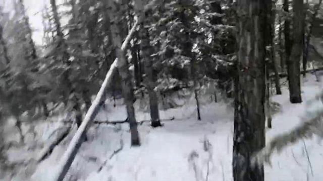 KUSH in the BUSH is live in the snow for 420 #snow #live #420 смотреть онлайн