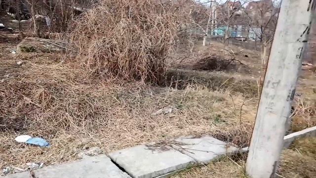 Саунд-трейн. Часть 19-я. смотреть онлайн