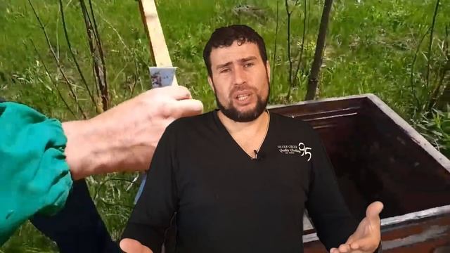Как получать много меда от отводков пчел. Как сделать отводок пчел и получить мед смотреть онлайн