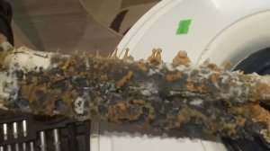 Чистка водонагревателя Termex