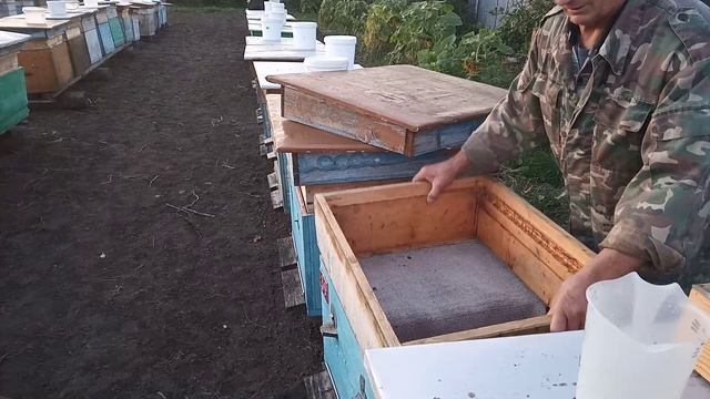 VID КАС -81 пополнение корма для зимовки . смотреть онлайн