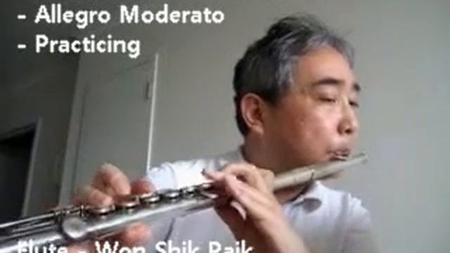 Marcel Moyse 25 melodic studies - No. 3 and 9 (Practice) - by Won Shik Paik смотреть онлайн