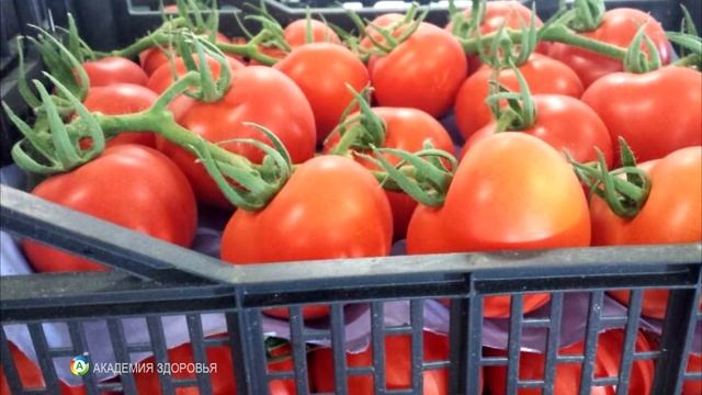 Нитраты в продуктах. Пестициды в продуктах питания смотреть онлайн