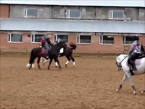 Феофан Грек 24.10.11 Шарапово