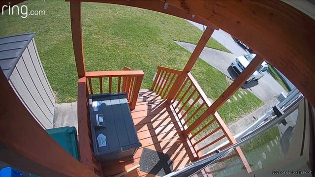 A Few Clips of My Bench Sentry In Action смотреть онлайн