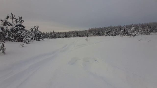 ирбис сф 200, валит или нет январь 2024 смотреть онлайн