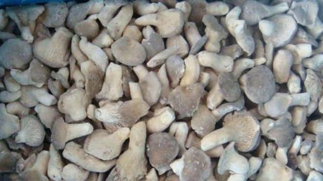 Как заморозить вешенки смотреть онлайн