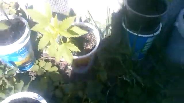 3 апреля 2020 г. смотреть онлайн