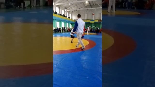 Самбо г. Северодонецьк смотреть онлайн