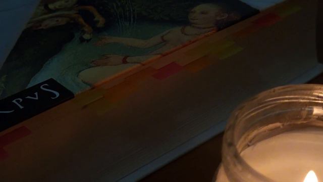 ЧИТАЮ КНИГУ " ТАЙНАЯ ИСТОРИЯ " ДОННЫ ТАРТТ / Атмосферное осеннее видео🍁🍂 смотреть онлайн