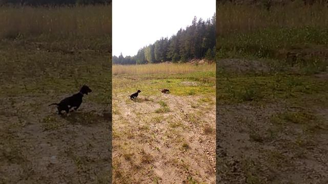 MOV 0137 смотреть онлайн