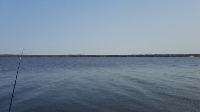 Вилейка лещ разагнул овнер и ушол