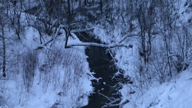 Новосибирск река 2я Ельцовка. Дендропарк. Природа Новосибирска. Зимнее утро. смотреть онлайн